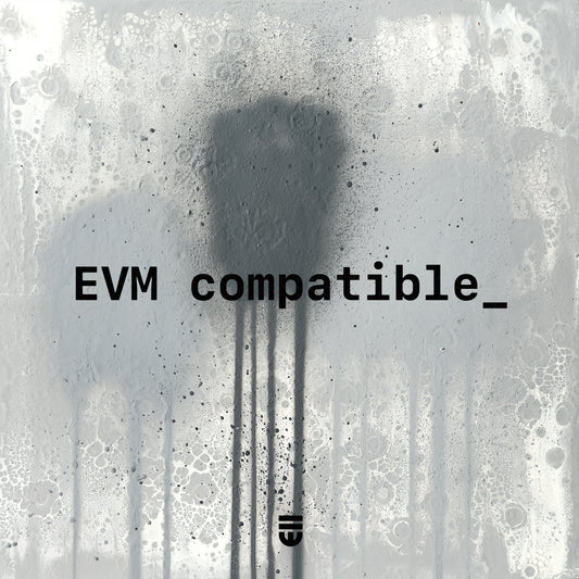 0013 evm.deploy (universal) ;_